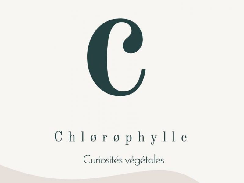Chlørøphylle